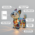 Moomie Jouw Ultieme Companion