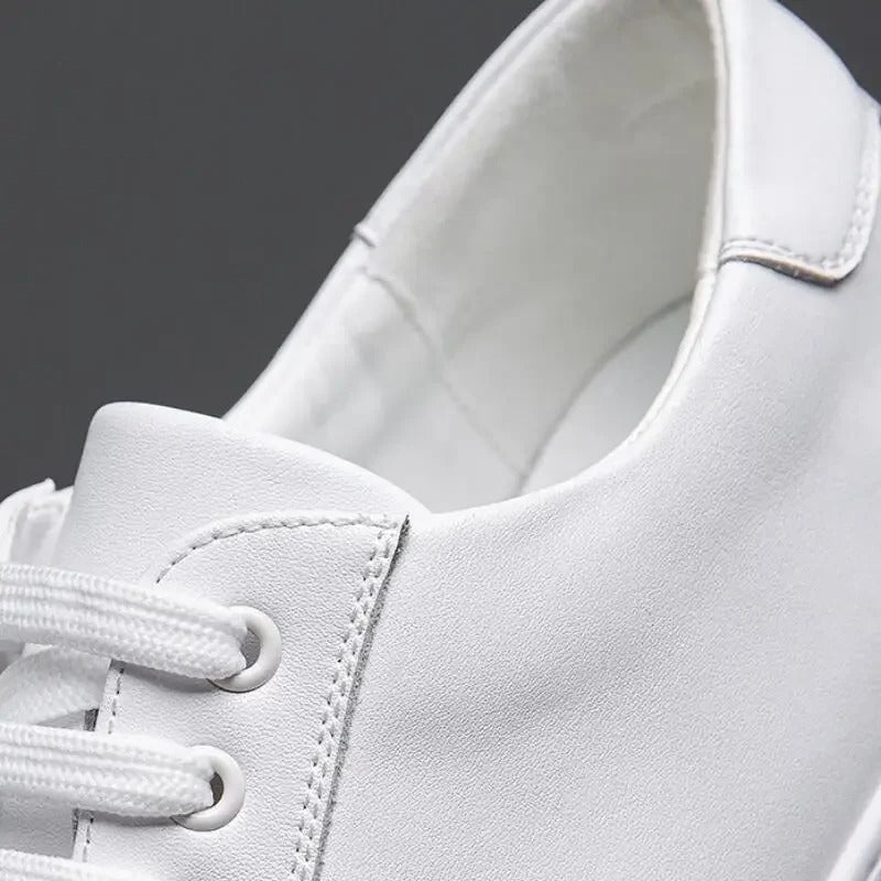 Franco | Herren Sneaker aus Kunstleder
