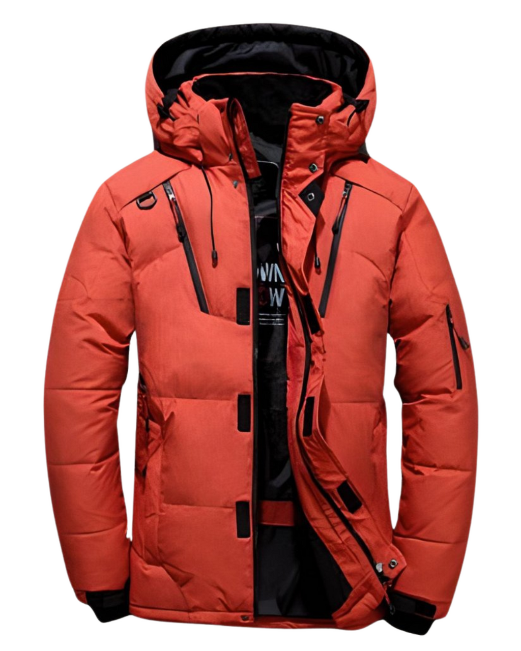 Santoni | Gepolsterte Warmjacke