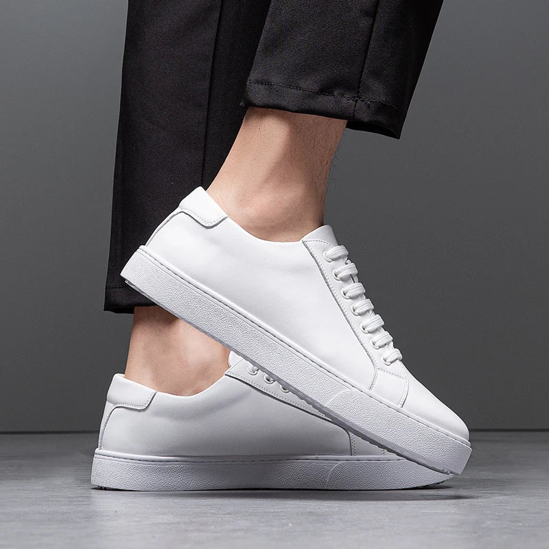 Franco | Herren Sneaker aus Kunstleder